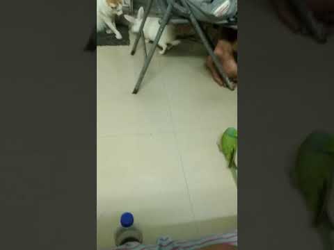 My babies....♥️♥️♥️♥️