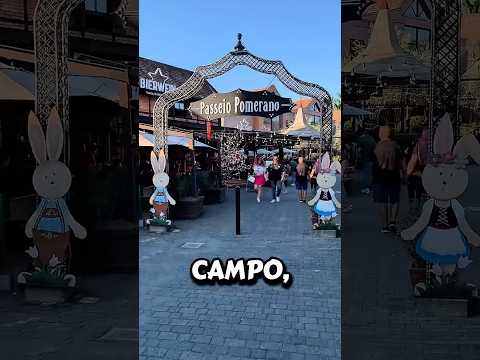 #shorte você já conhece esse paraíso em Santa Catarina ? A Alemanha 🇩🇪 brasileira #shorts