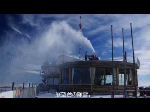 ピッツ・コルヴァッチについて詳しく解説