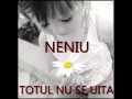 Neniu - totul nu se uita 