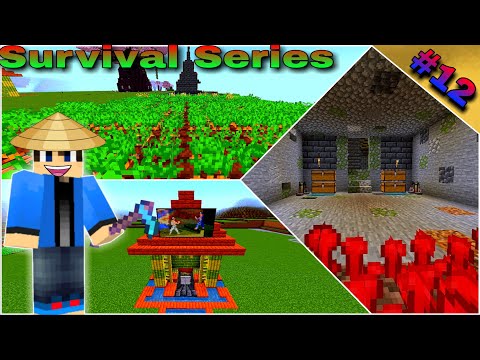 GamerD89 - Made A Potion Room And Carrots Farm Or Grow Villagers In Minecraft || Episode-12