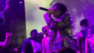 Sahbabii purple ape live in NY