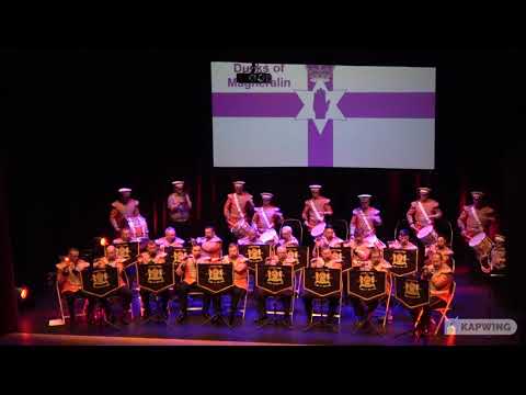 Belfast City and Ducks of Magheralin