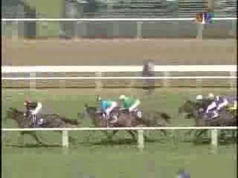 2004 Breeders' Cup Filly & Mare Turf