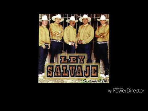 Ya Se Acabo El 24  -  Grupo Ley Salvaje