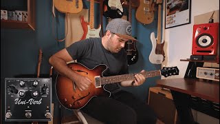 Video thumbnail for Uni-Verb In Depth Demo by J. Rockett Audio Designs