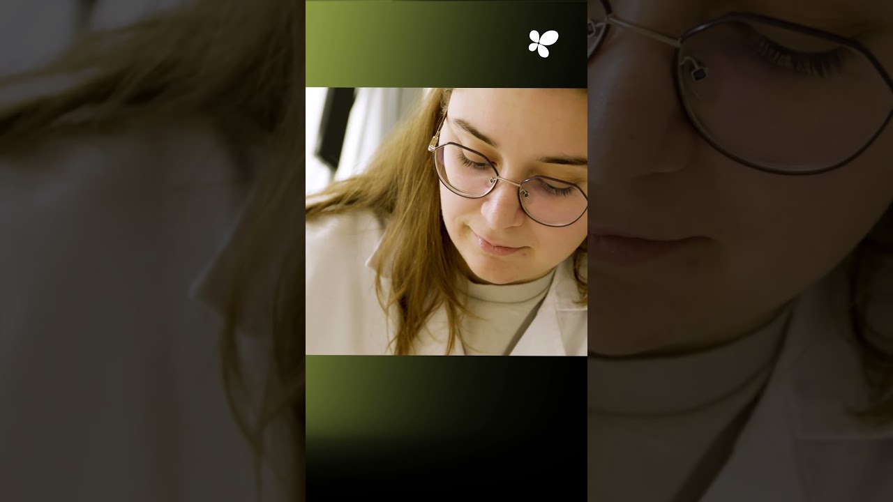 Creación del museo del Parque Arqueológico del Puig de Sa Morisca