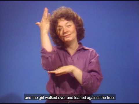 ABC Gum Story