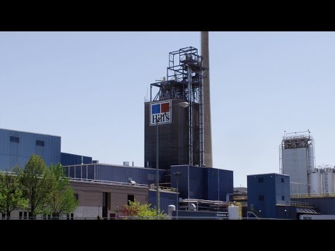 Hill's Pet Nutrition + Augury Machine Insights Help Reimagine a Healthier Future