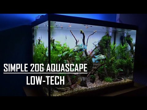 20 GALLON AQUASCAPE TUTORIAL | Easy, simple aquarium