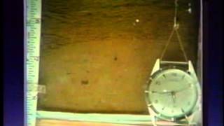 Frost Action in Soils