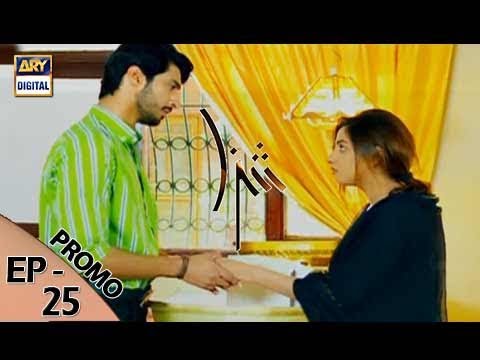 Shiza Episode 25 (Promo) ARY Digital Drama