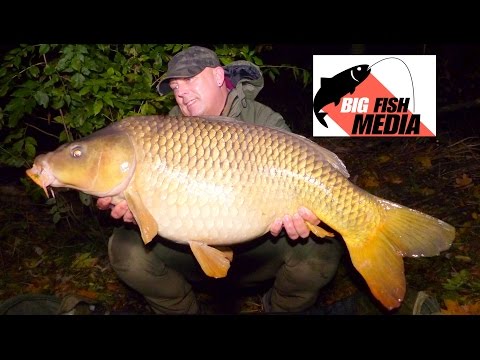 Karpfenangeln - Erfolgreiche Herbstsession am Fluss