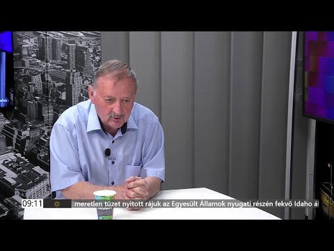 PIRKADAT Breuer Ádámmal: Kis-Benedek József