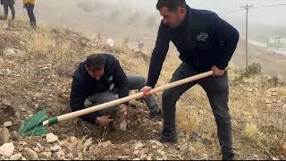 buyuksehir agaclandirma calismalarina 1200 fidanla yahyalida devam etti