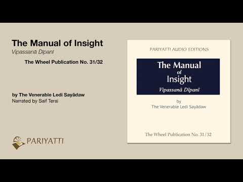 The Manual of Insight