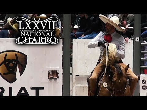 Manganas on Horseback - November 21st Grand Final - Aguascalientes Congress 2021