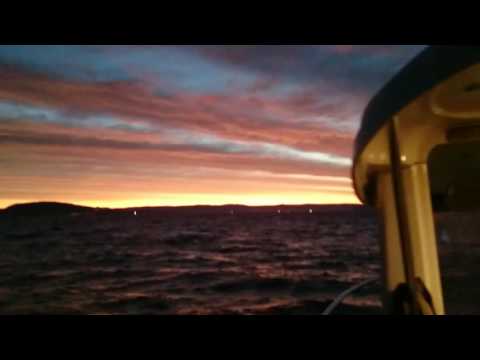 DESPIDIENDO LOS CALAMARES 2016