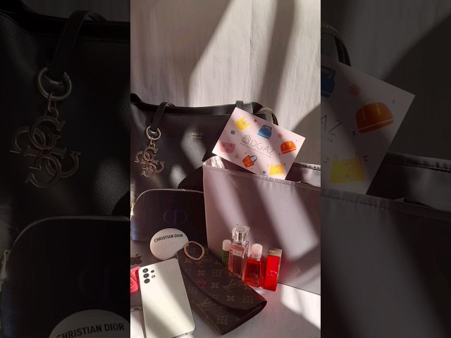 Vídeo relacionado con DGAZ Organizador de Bolsos, Bolso Insertar de Seda para Chanel CF Classic Flap, Organizador Bolsas Interior Ligera (Rose Lipstick, Square Mini 17)