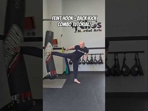Feint Hook Punch + Back Kick Tutorial! #taekwondo #shorts #kickboxing #muaythai #mma #martialarts