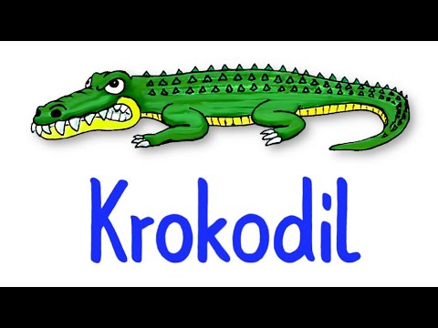 Die gefährlichste Droge der Welt | Krokodil