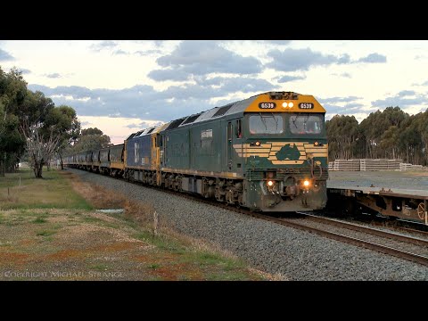 7731V Pacific National Grain Train With VHAF Hopppers (2/8/2021) - PoathTV Australian Railways