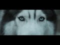 Hardwell feat. Jonathan Mendelsohn - Echo ...