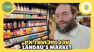 ארב שבוס בשוק לנדאו - מופע פרלוביץ'
