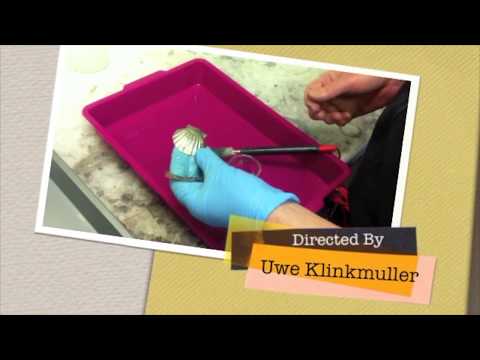 Plating on Plastic,shell or any non conductive item