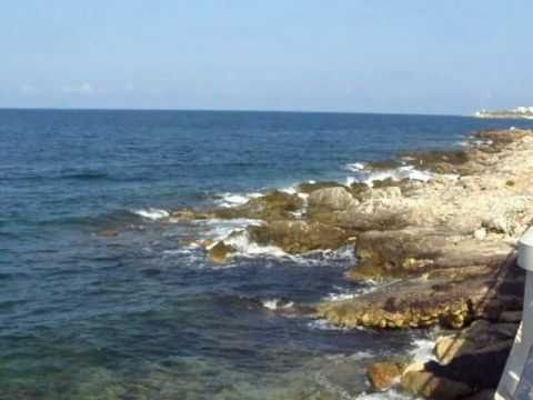 My Choice - Dumitru Stanescu: Organ Chorale