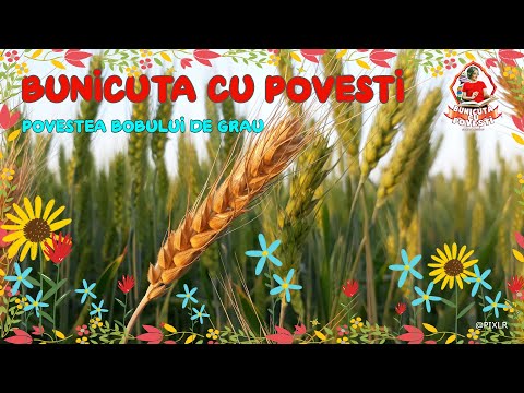 Bunicuța Cu Povești- ,, Povestea bobului de grâu''