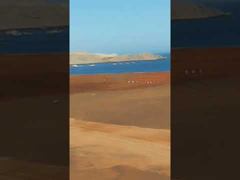 Marcona Nazca Ica Perú #mochilero #viajeinolvidable #vidanomada #turismo #travesia #cicloviajero