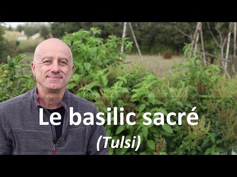 Les formulations de la pression artérielle longue durée daction Hypertension exercice de charge