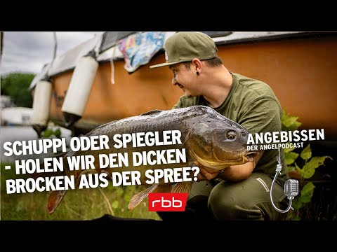 Schuppi oder Spiegler - Holen wir den dicken Brocken aus der Spree? | Angebissen Episode 19