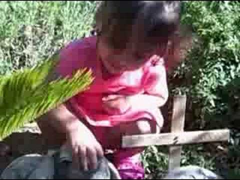 Nairi Armenian Baby Bunny