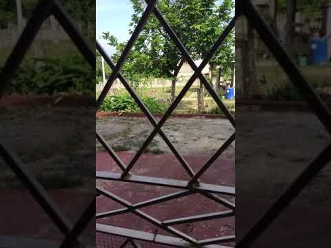 Pastor Gino Jennings vs Mr Vegas