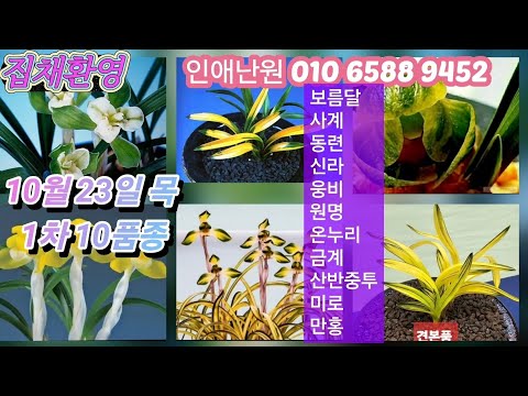 유튜브 썸네일