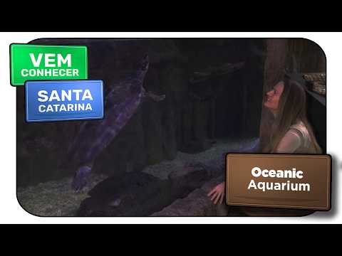 Oceanic Aquarium em Balneário Camboriú: entre rios e mar - Vem Conhecer SC