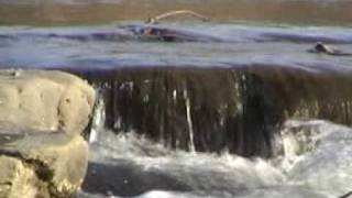 De Profundis (from the depths)