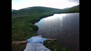 tired of life playlist