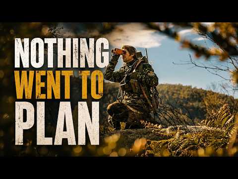 Inside 19 Days of Public Land Sambar Deer Hunting in the Victorian High Country