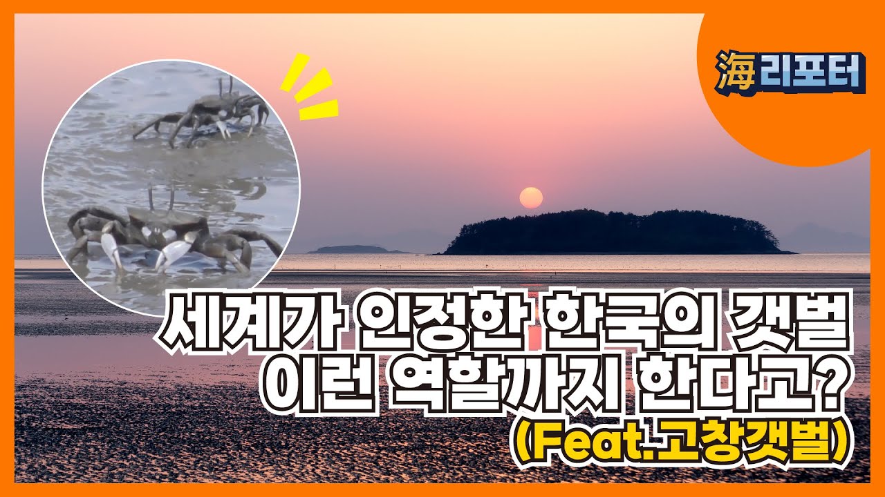 [해리포터 기자단] 미래세대를 위한 갯벌의 중요성