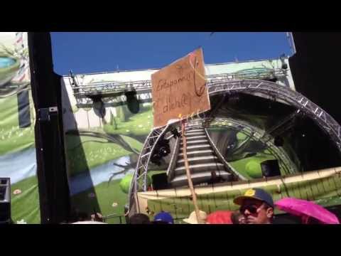 Psychedelic Circus 2013