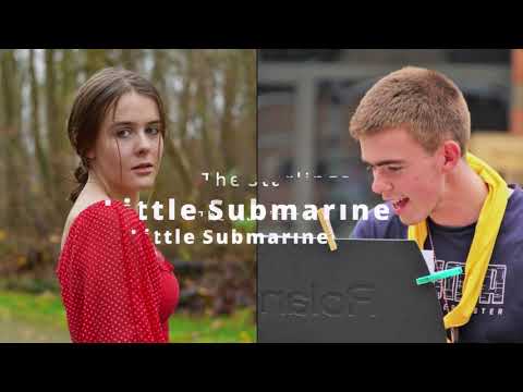 Little Submarine - The Starlings Cover