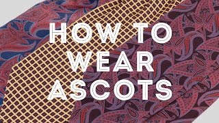 How To Wear An Ascot, Cravat & Plastron The Elegant Way - Gentleman