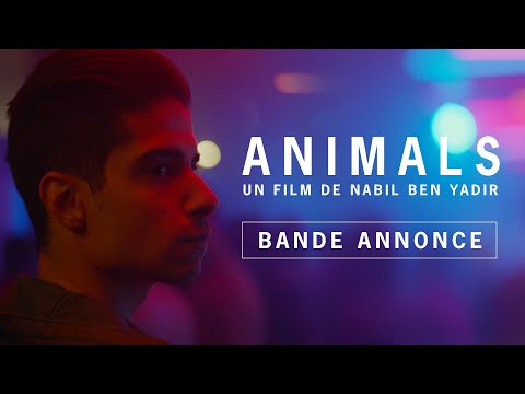 Animals - bande annonce JHR Films