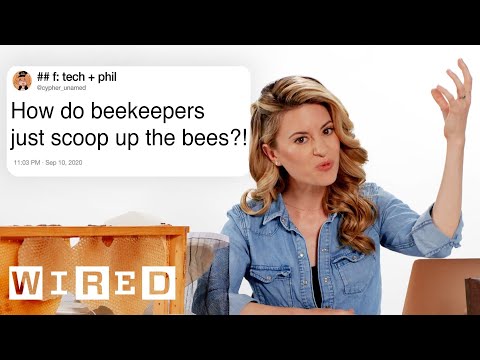 , title : 'Beekeeper Answers Bee Questions From Twitter | Tech Support | WIRED'