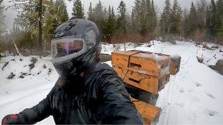 What Happens at the End of Trapline : Episode 51