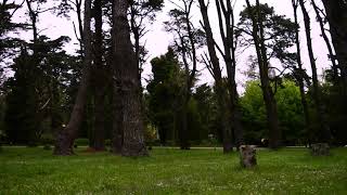 I'm not the same in the winter