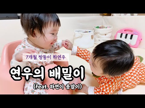 [15화 7개월 쌍둥이 연우의 배밀이][하연이 옹알이][7개월 쌍둥이 육아일기]